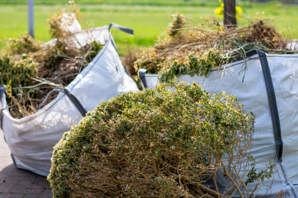 Best Same-Day Junk Removal  in Rocklin, CA